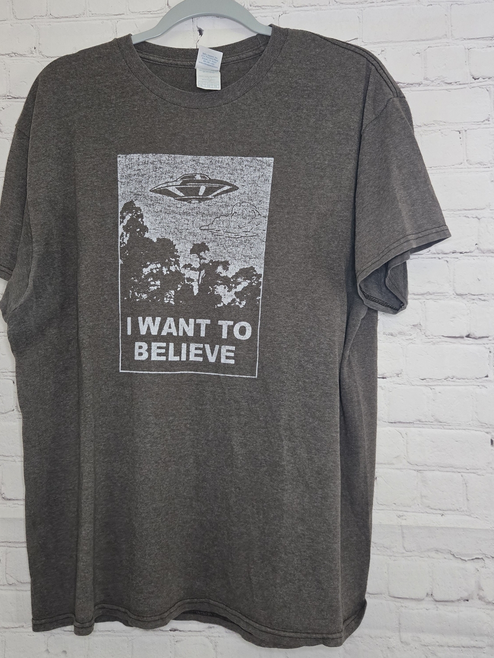 I Want To Believe Graphic Tee - Charcoal y2k skater grunge streetwear funny